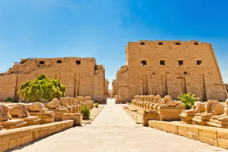 Tour of Karnak and Luxor Temples from Luxor